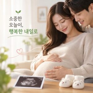 Codex 이미지 2026년 9월 9일 오전 11 42 27.1